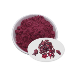 100% Pure Natural Organic Hibiscus Sabdariffa Flower Extract Powder